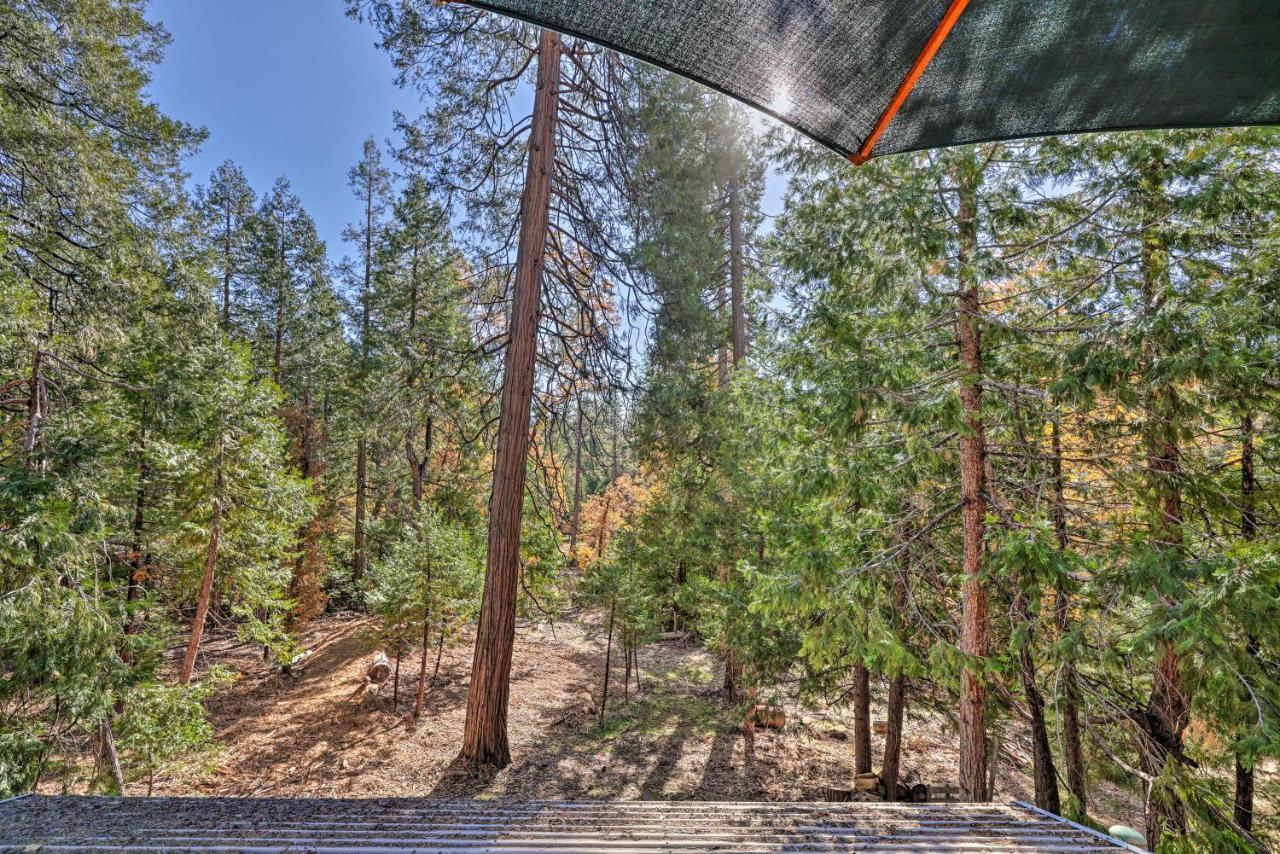 Quiet Twain Harte Cabin With Deck And Forest Views! Luaran gambar